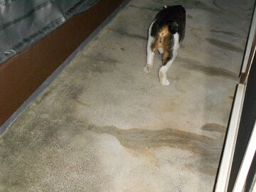 9月21日（20-7）仮