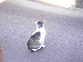 6月16日（30）仮