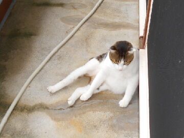 10月20日（28）仮