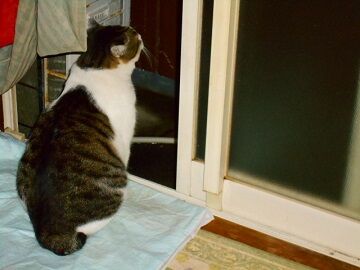 10月25日（53）仮