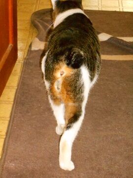 11月29日(126)(5)仮