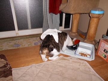 10月7日（21-4）仮