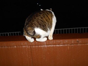 2月22日（10）仮