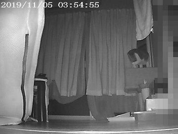 11月5日（12）仮