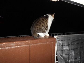 9月26日（20-5）仮