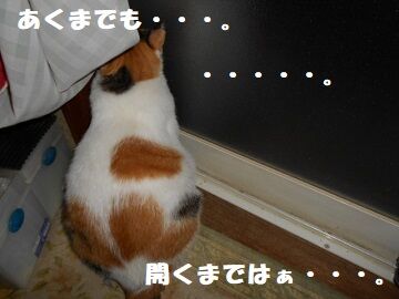 9月24日（19-3）仮