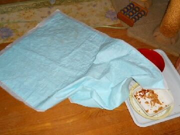 11月14日（9）仮