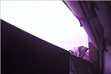 12月30日（22.5）仮