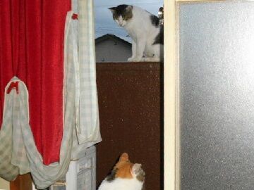 7月21日（22）仮