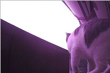 12月30日(20.45)仮