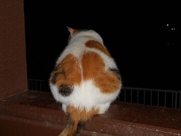 10月1日（19-14）仮