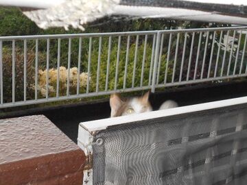 9月28日（5-3）仮