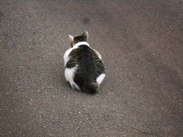 9月12日（6-5）仮