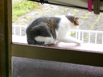 11月13日（10）仮