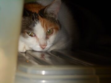 8月30日（19）仮