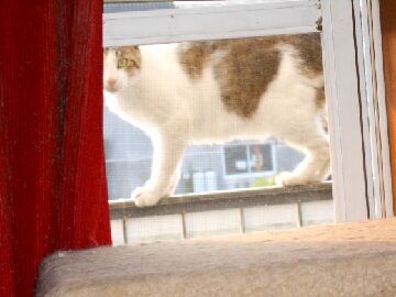 6月20日（25）仮