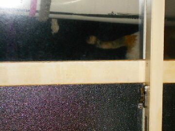 3月29日（38）仮