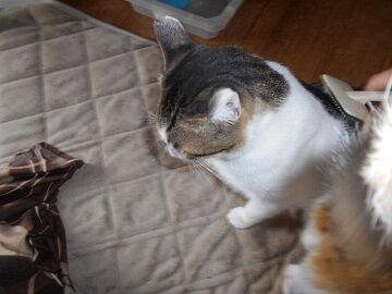 9月16日（10-9）仮