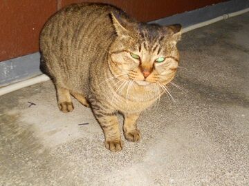 12月20日（27）仮