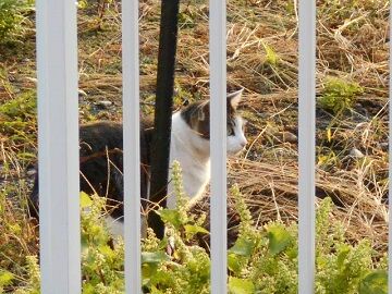 10月2日（6-9）仮