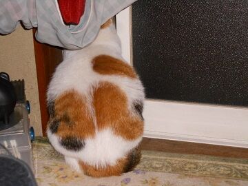 10月7日（22-5）仮