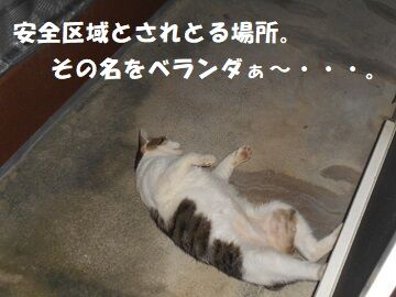 8月18日（33）仮