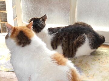 6月23日（20）仮