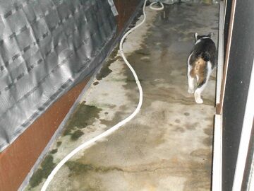 10月12日（2）仮