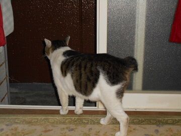 9月20日（5-26）仮