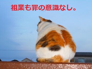 4月15日(27)仮