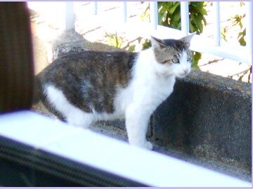 6月16日（32）仮