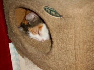 9月23日（9-3）仮