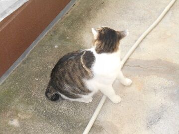 9月16日（15）仮