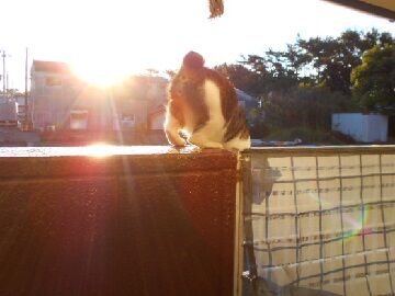 10月23日（38）仮