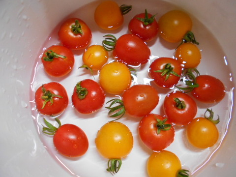 DSCN2006