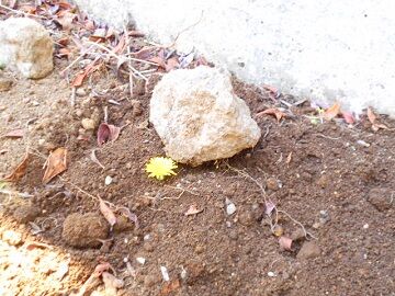 4月10日（32）仮