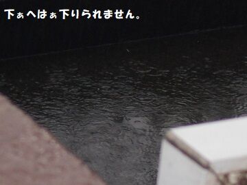 9月26日（7-3）仮
