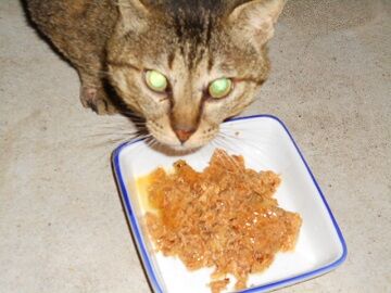 5月12日（59）仮