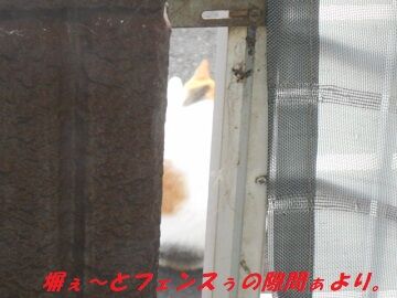 10月2日（7-1）仮