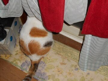 9月23日（5-1）仮