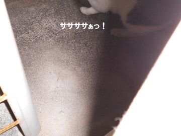 10月7日（22-13）仮