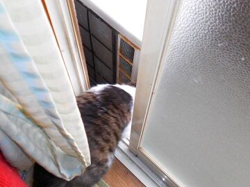 5月28日（20）仮