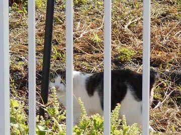 9月30日（7-10）仮