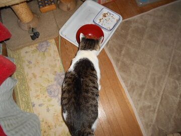 9月26日（6-2）仮