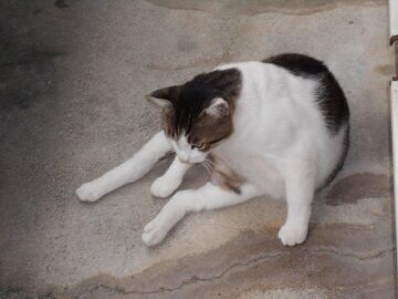 9月13日（6-5）仮