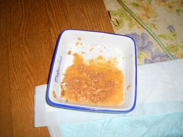 12月13日（55）仮