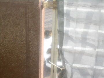 12月24日（15）仮