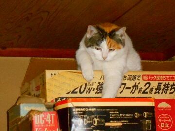 12月13日（22）仮