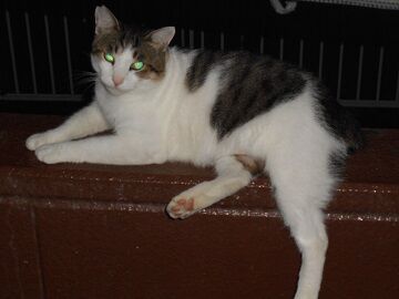 9月13日（20-2）仮