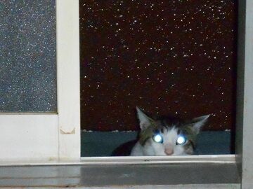 6月24日（47）仮